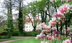 Die Stadt Vetschau/ Spreewald