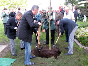 Gemeinsam wird die Einheits-Eiche gepflanzt.